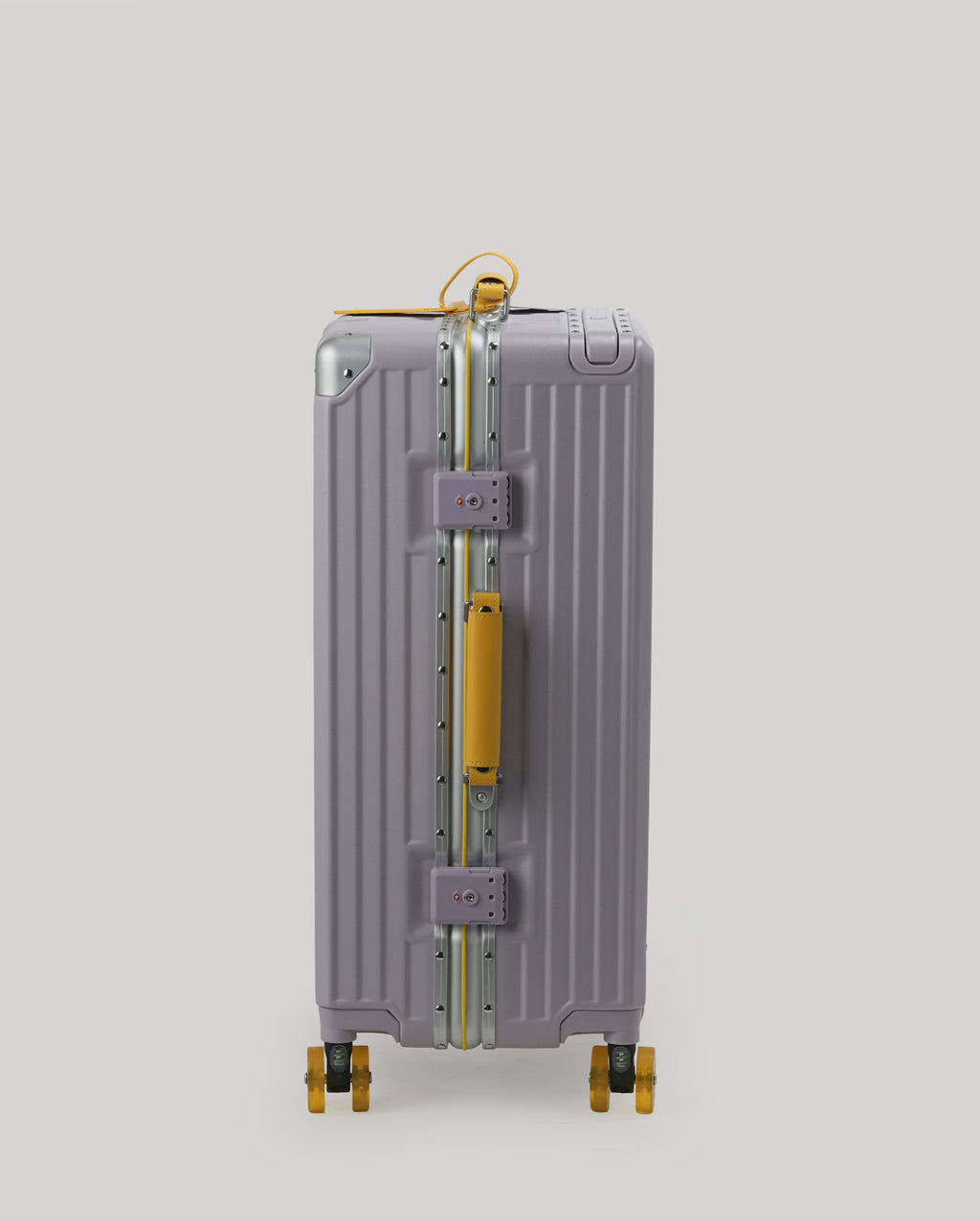 24" Check-In | Purple Yellow