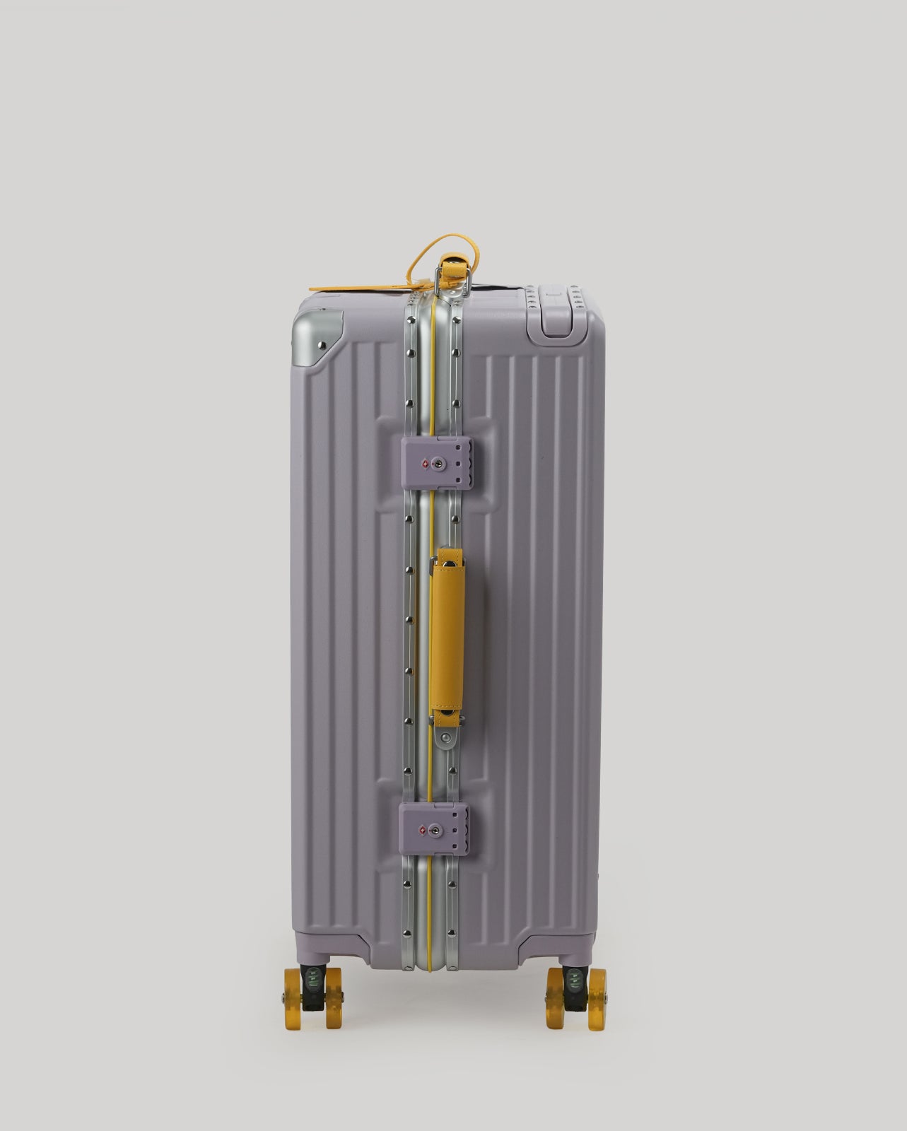 24" Check-In | Purple Yellow