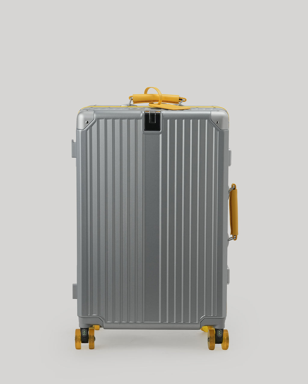 24" Check-In | Silver Yellow