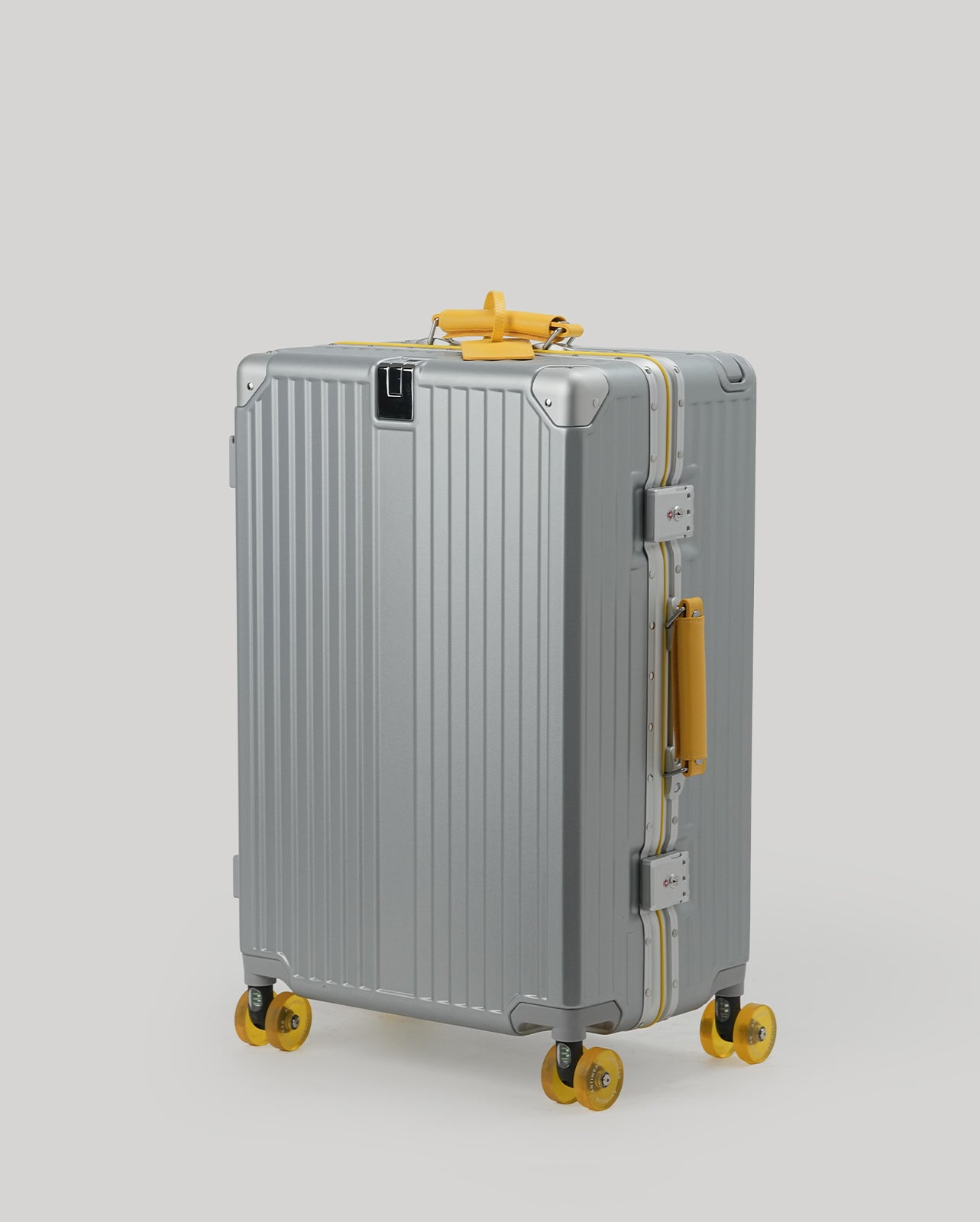 24" Check-In | Silver Yellow